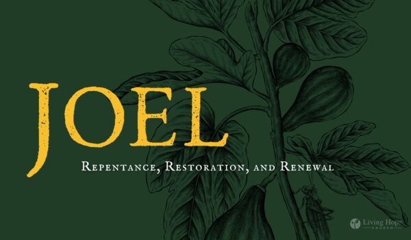 Turn to the Lord in light of the day of the Lord Image